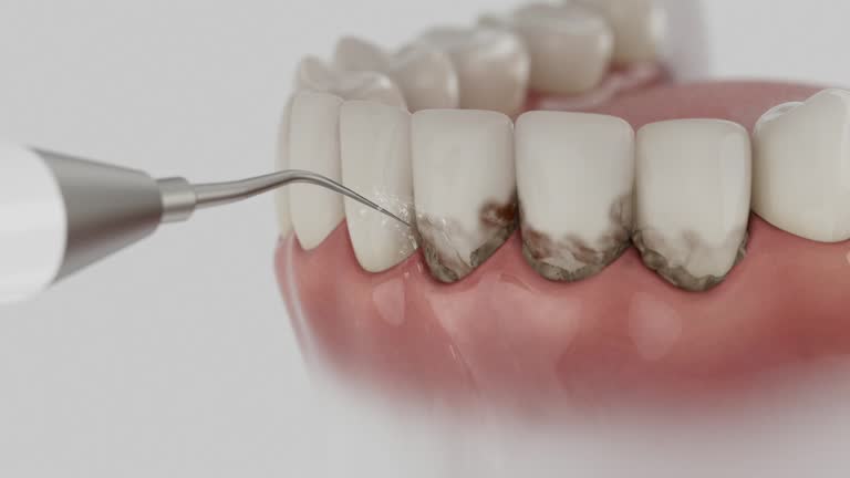 Reliable Dental contractor in Nashville, NC by Dentist Open Now